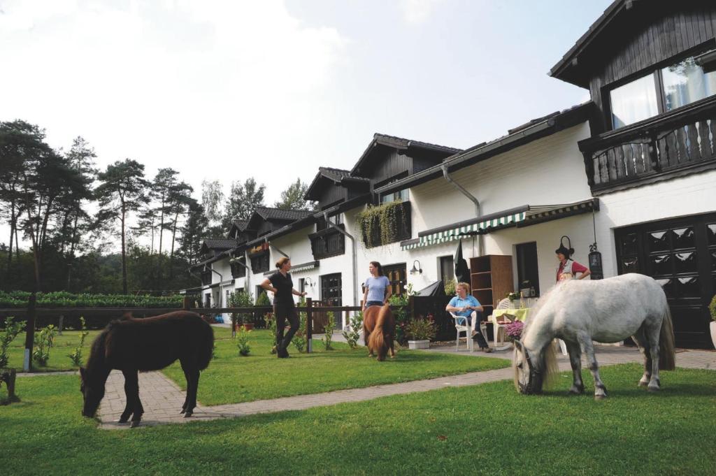 Landhotel Linden Am Venekotensee Niederkrüchten Zewnętrze zdjęcie