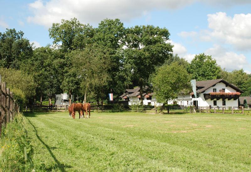 Landhotel Linden Am Venekotensee Niederkrüchten Zewnętrze zdjęcie
