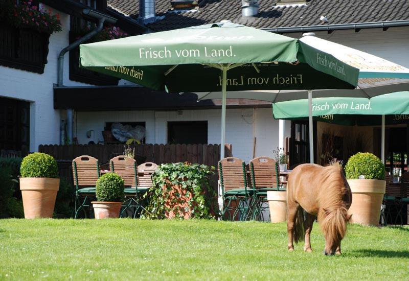Landhotel Linden Am Venekotensee Niederkrüchten Zewnętrze zdjęcie